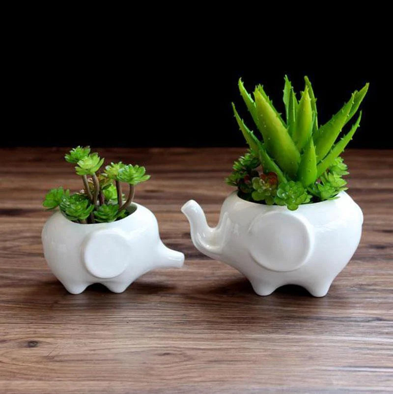 Pots & Planters