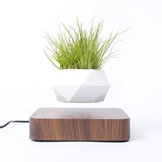 Magnetic Levitating Planter