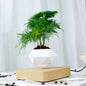 Magnetic Levitating Planter