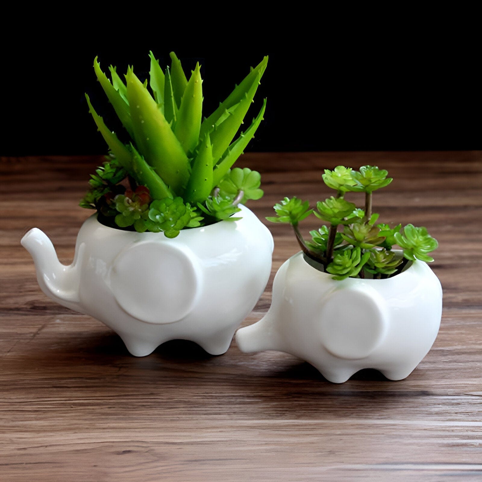 Ceramic Elephant Succulent Planter