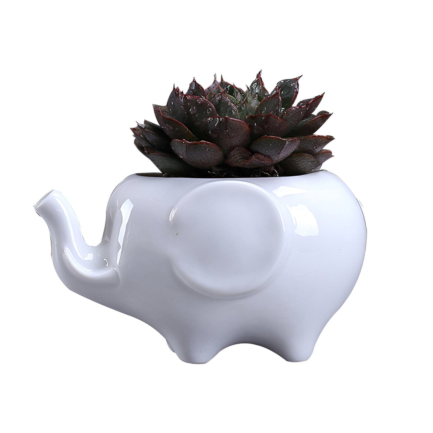 Ceramic Elephant Succulent Planter