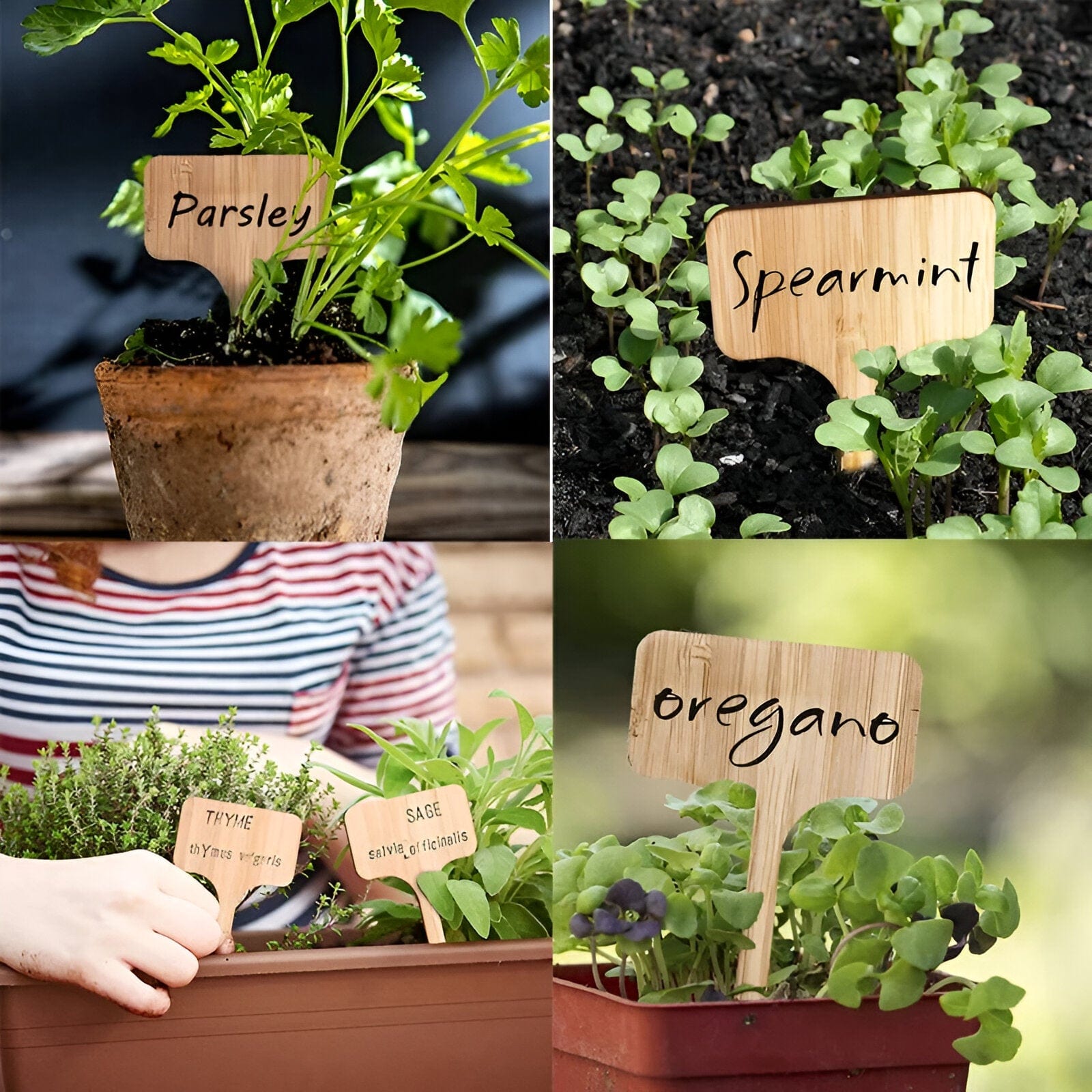 Blank Wooden Plant Label Signs