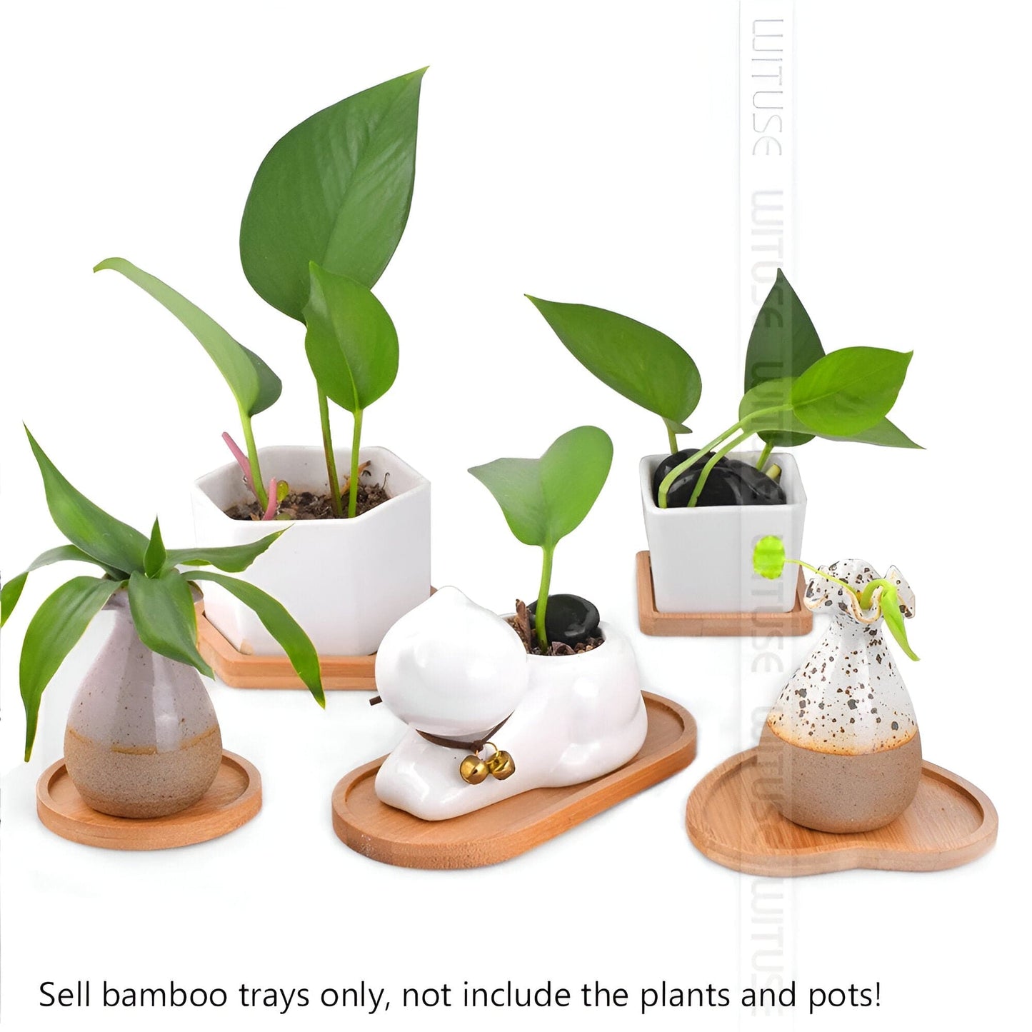 Natural Bamboo Planter Saucer Tray