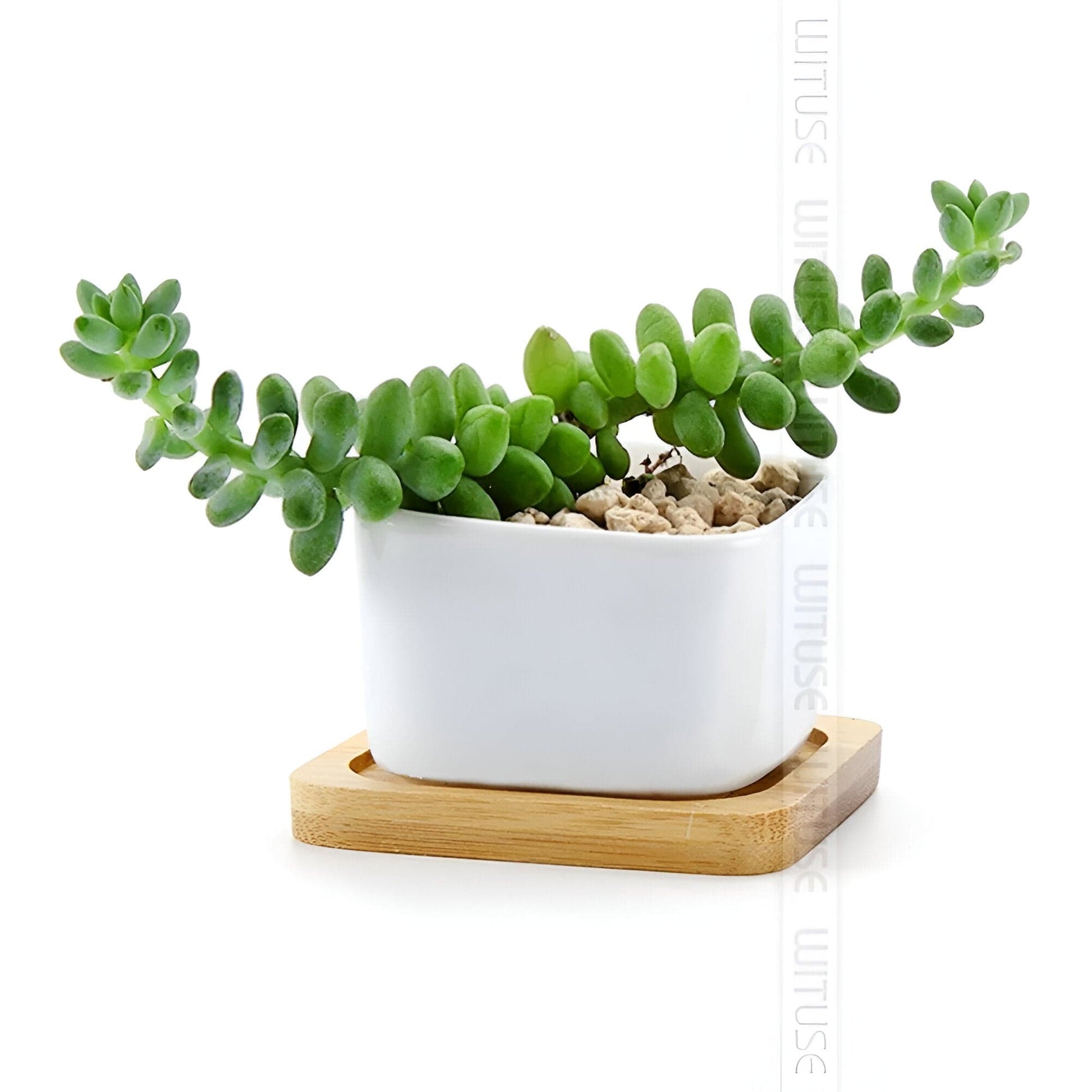 Natural Bamboo Planter Saucer Tray