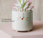 Animal Ceramic Succulent Planters