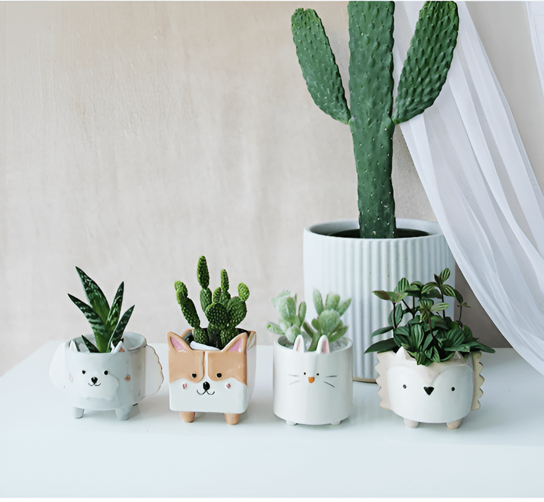 Animal Ceramic Succulent Planters