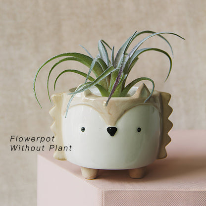 Animal Ceramic Succulent Planters