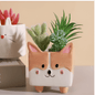 Animal Ceramic Succulent Planters