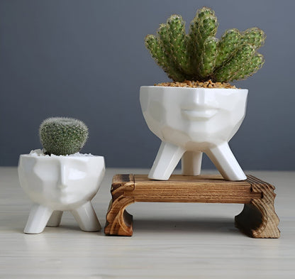 2-Piece White Ceramic Face Succulent Planters