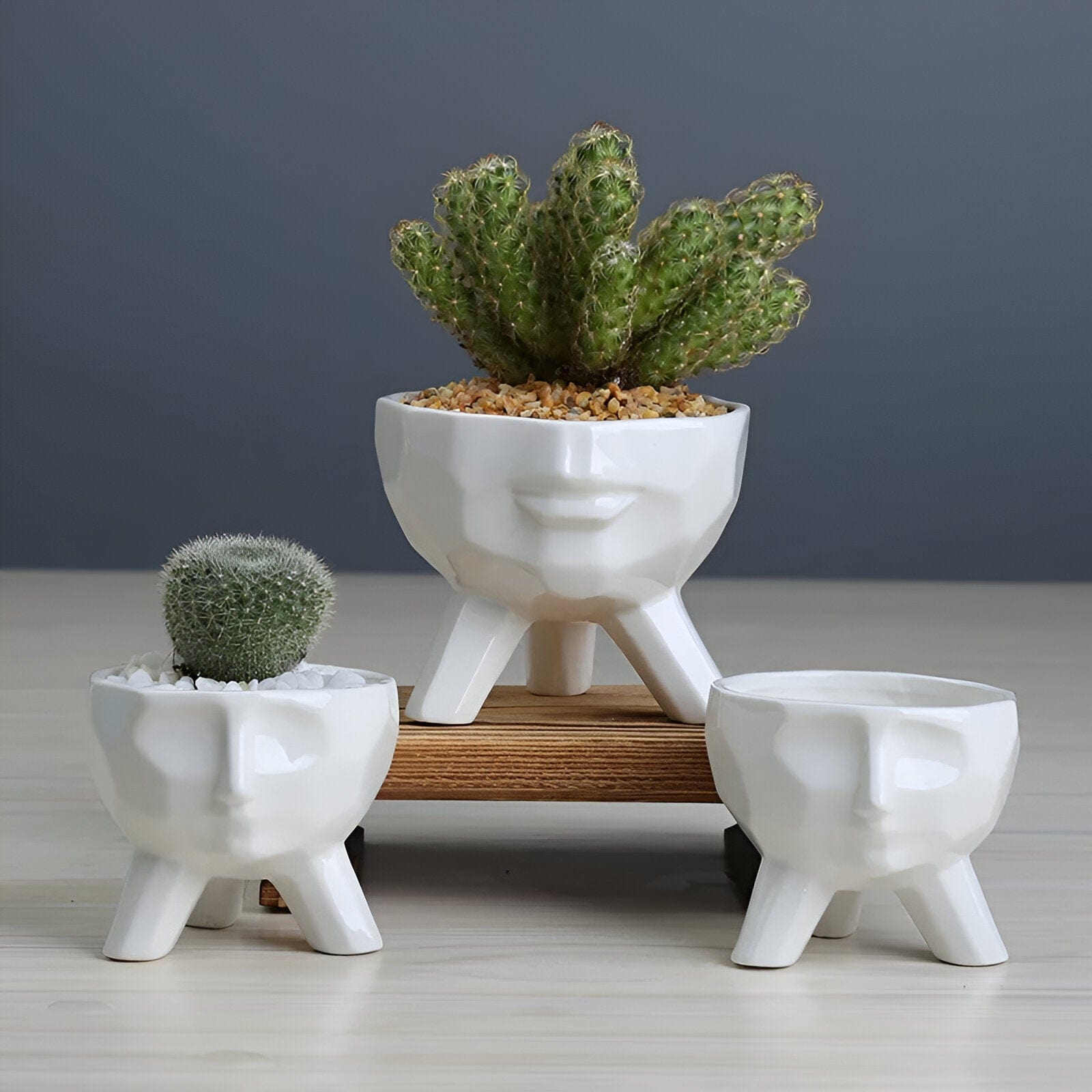 2-Piece White Ceramic Face Succulent Planters