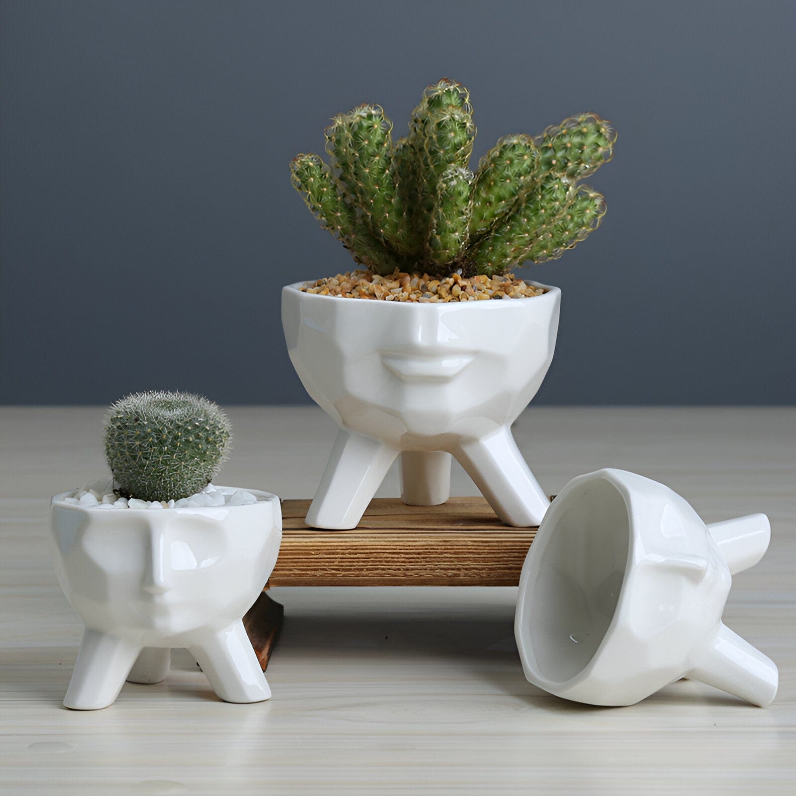 2-Piece White Ceramic Face Succulent Planters