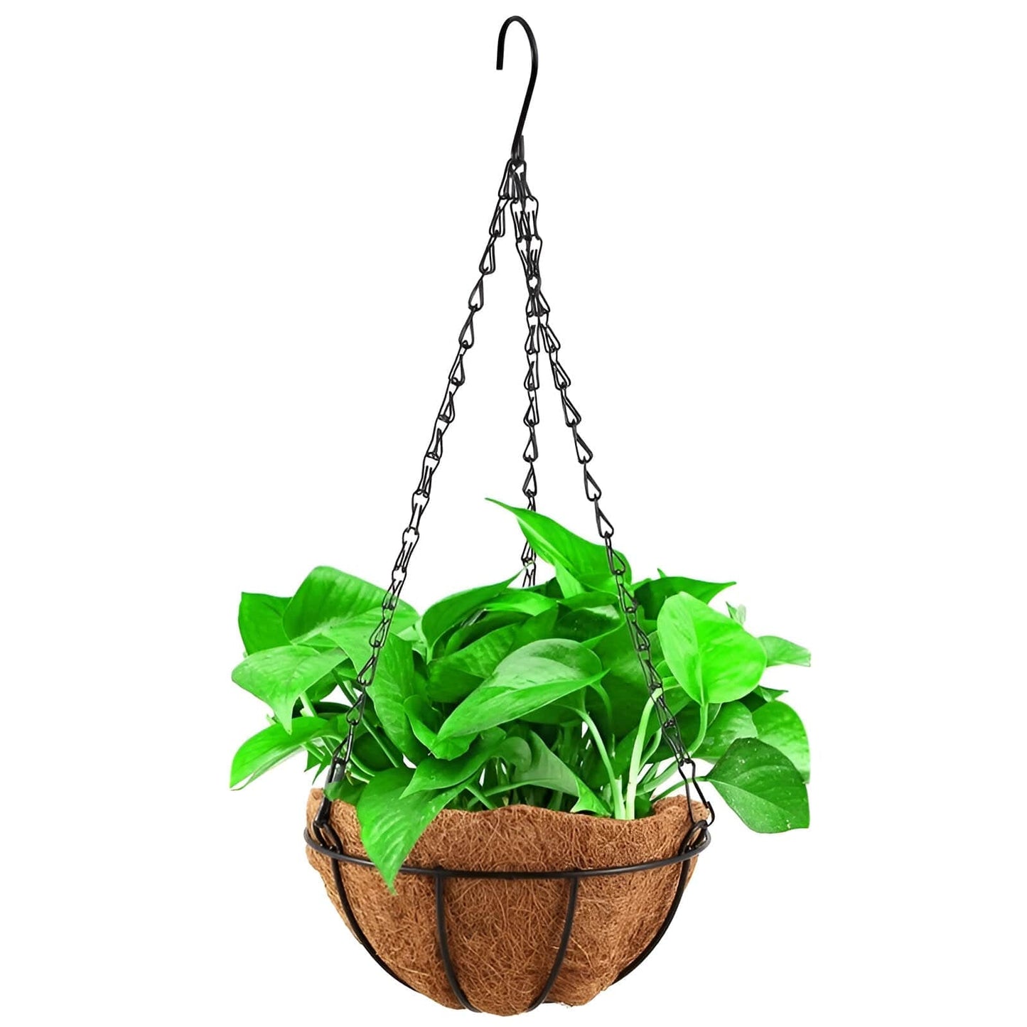 Hanging Basket Planter 