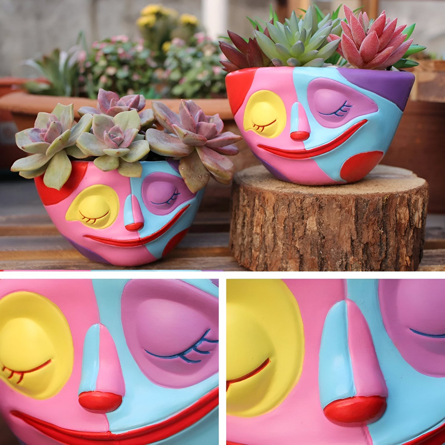 Creative Design Succulent Pot