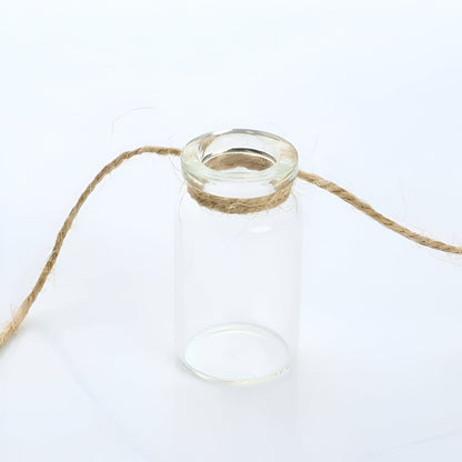  Twine Hanging Propagation Jars