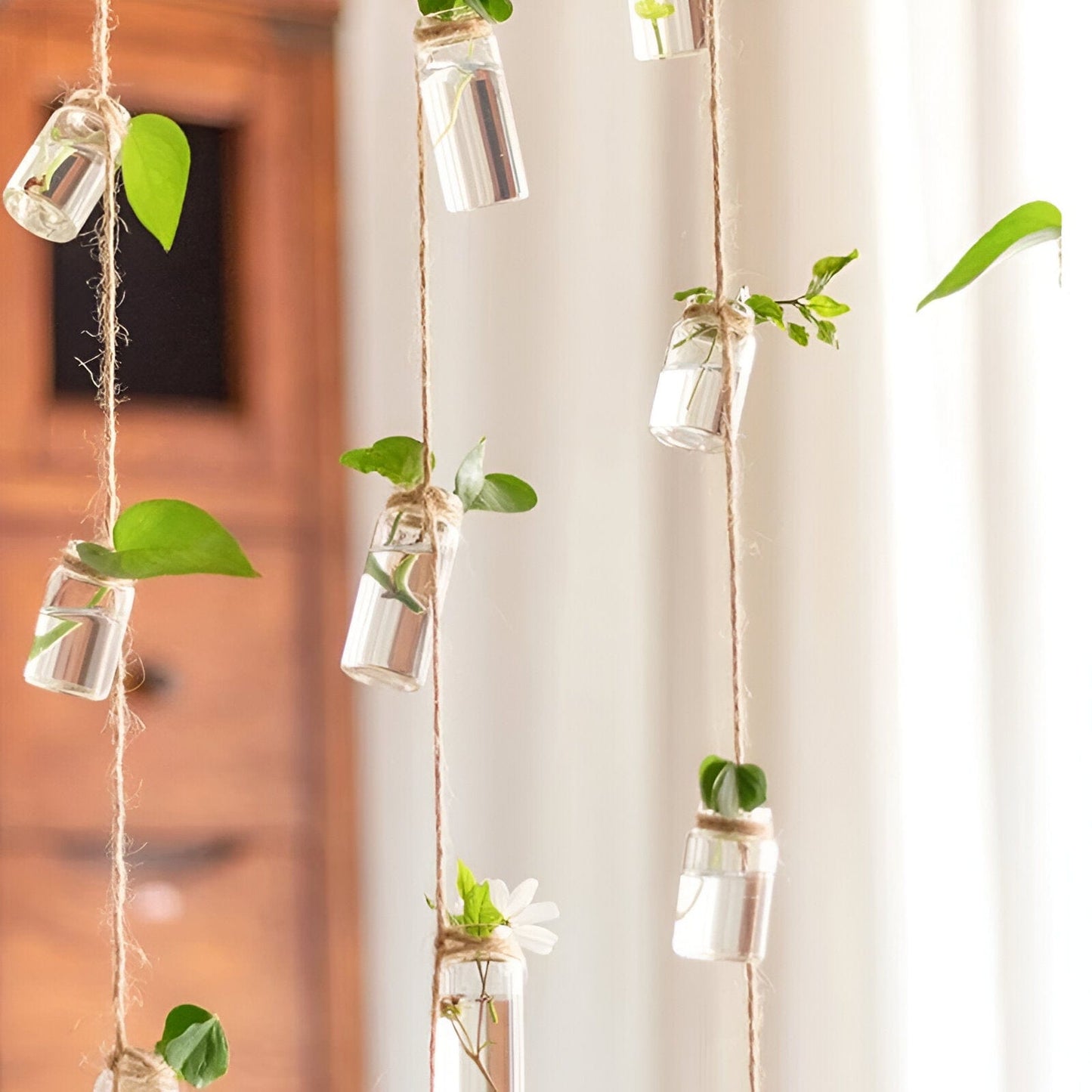  Twine Hanging Propagation Jars