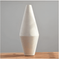 Simplicity in White Vase