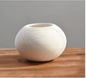 Simplicity in White Vase