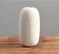 Simplicity in White Vase