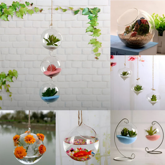 Hanging Glass Ball Terrarium Vase