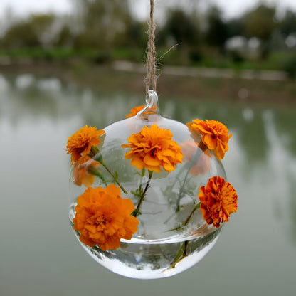 Hanging Glass Ball Terrarium Vase+