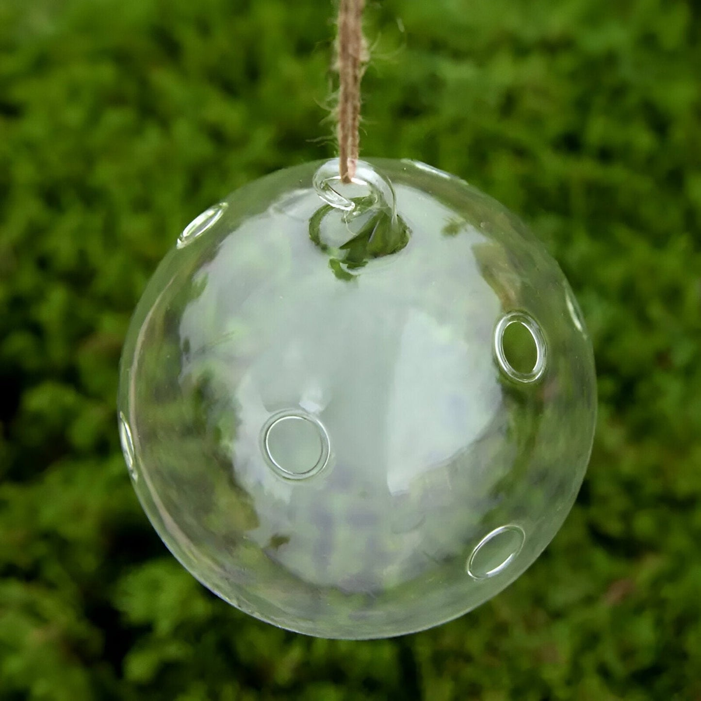 Hanging Glass Ball Terrarium Vase