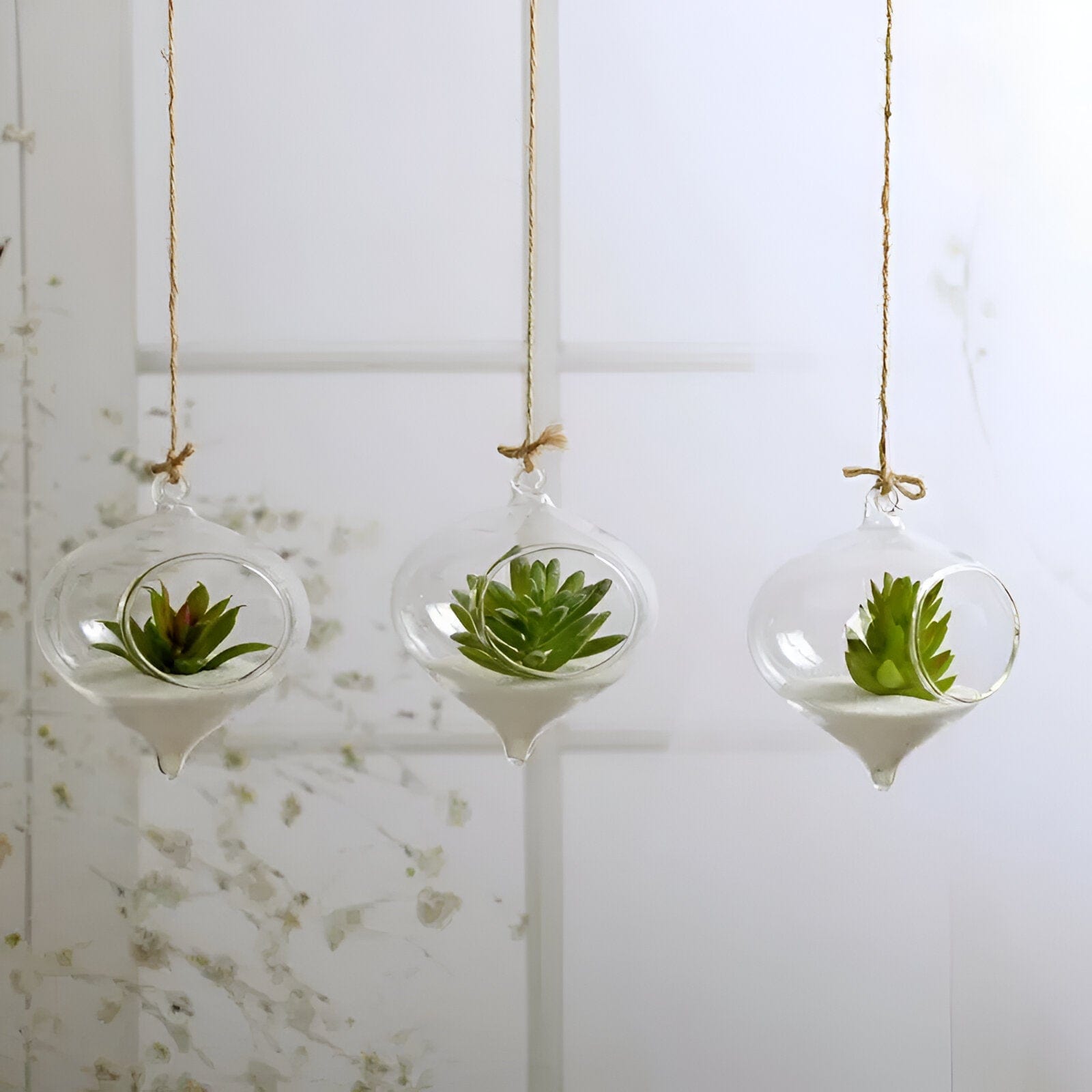 Hanging Glass Ball Terrarium Vase