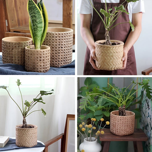 Natural Rattan Texture Cement Planter