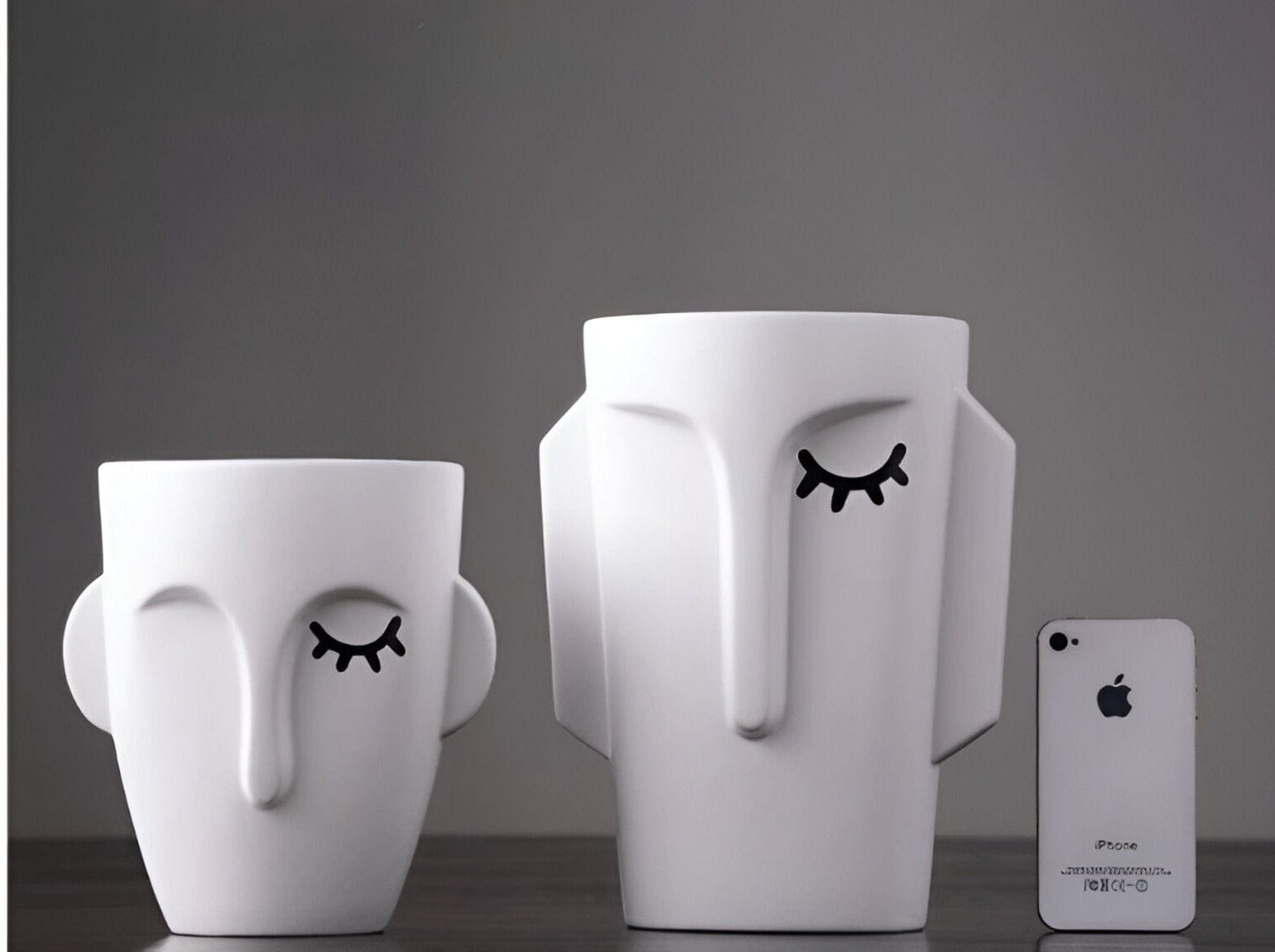 Abstract Face Vases