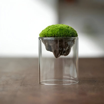 Mountain Moss Glass Vase Collection