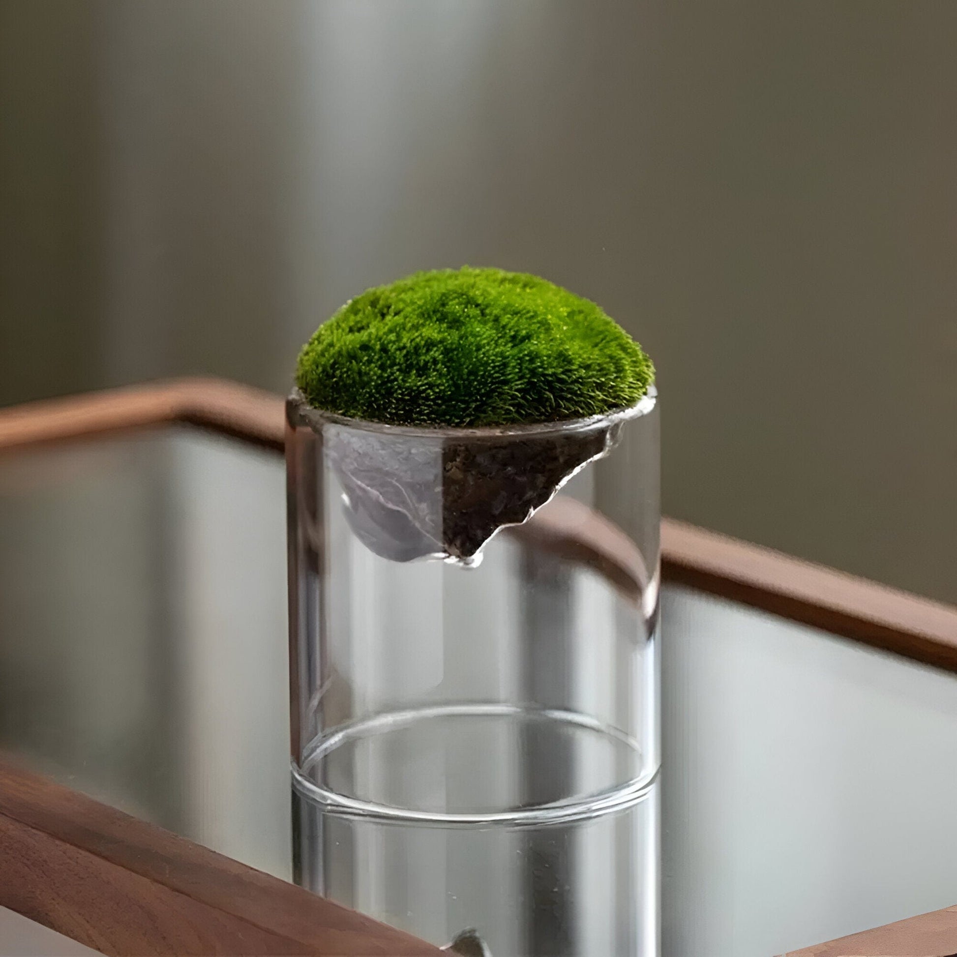 Mountain Moss Glass Vase Collection