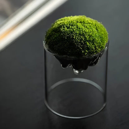 Mountain Moss Glass Vase Collection