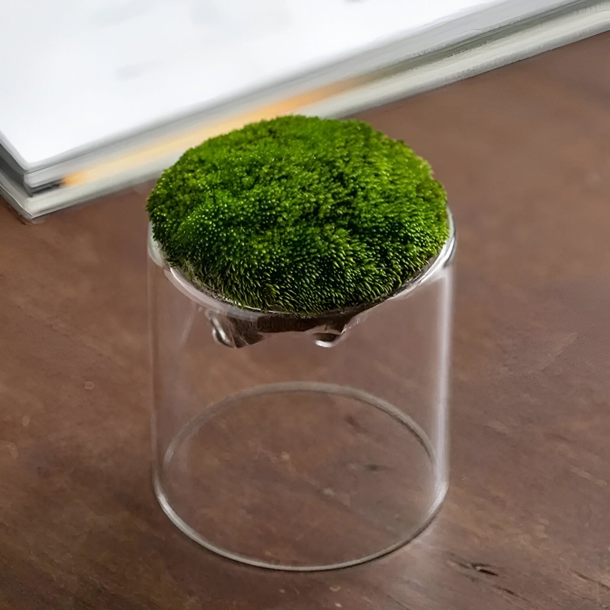 Mountain Moss Glass Vase Collection