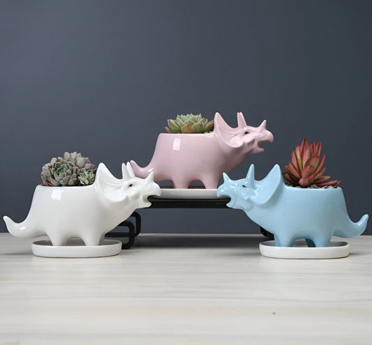 Cute Dinosaur Succulent Planter Pot with Drainage Tray