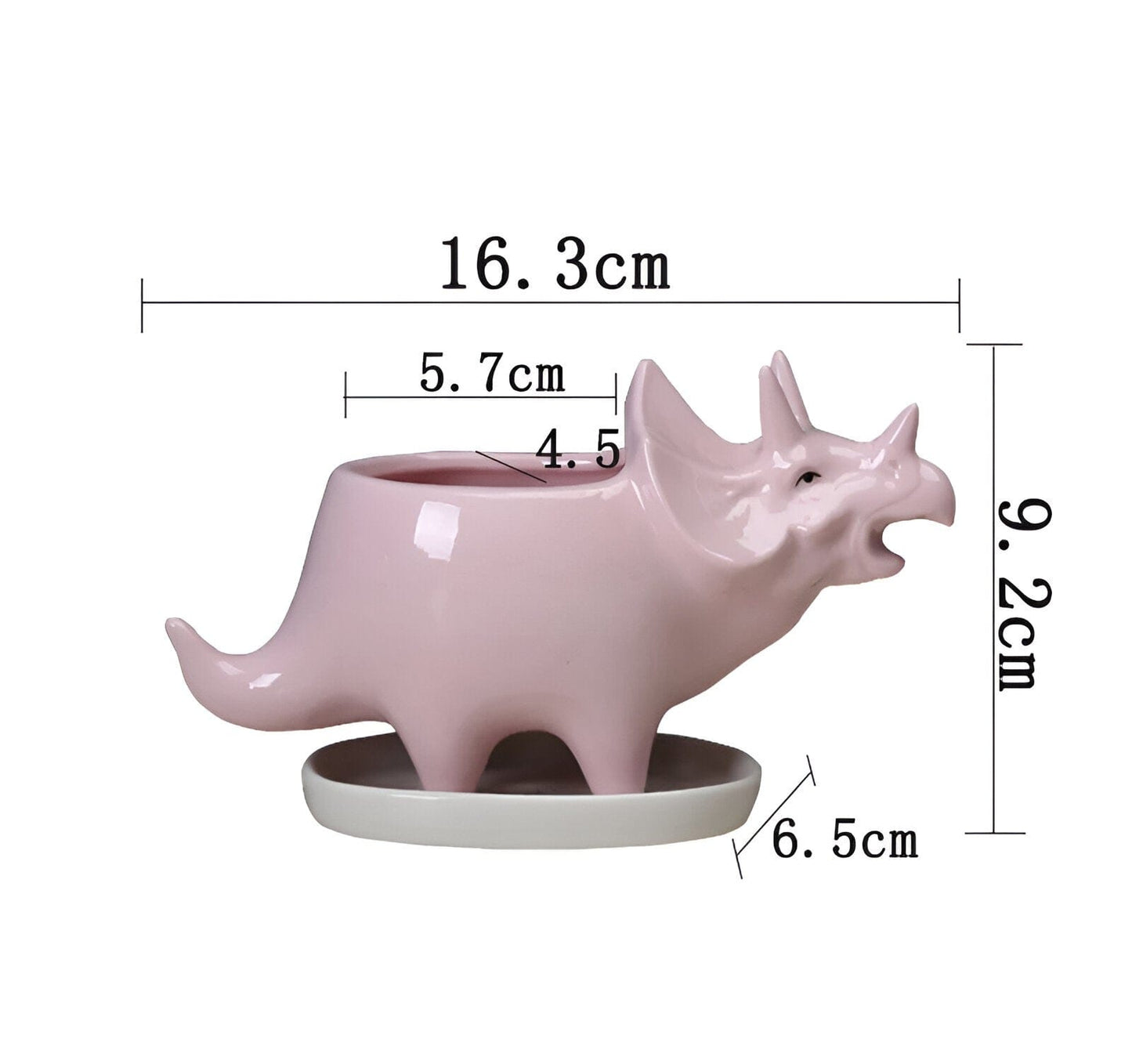 Cute Dinosaur Succulent Planter Pot with Drainage Tray