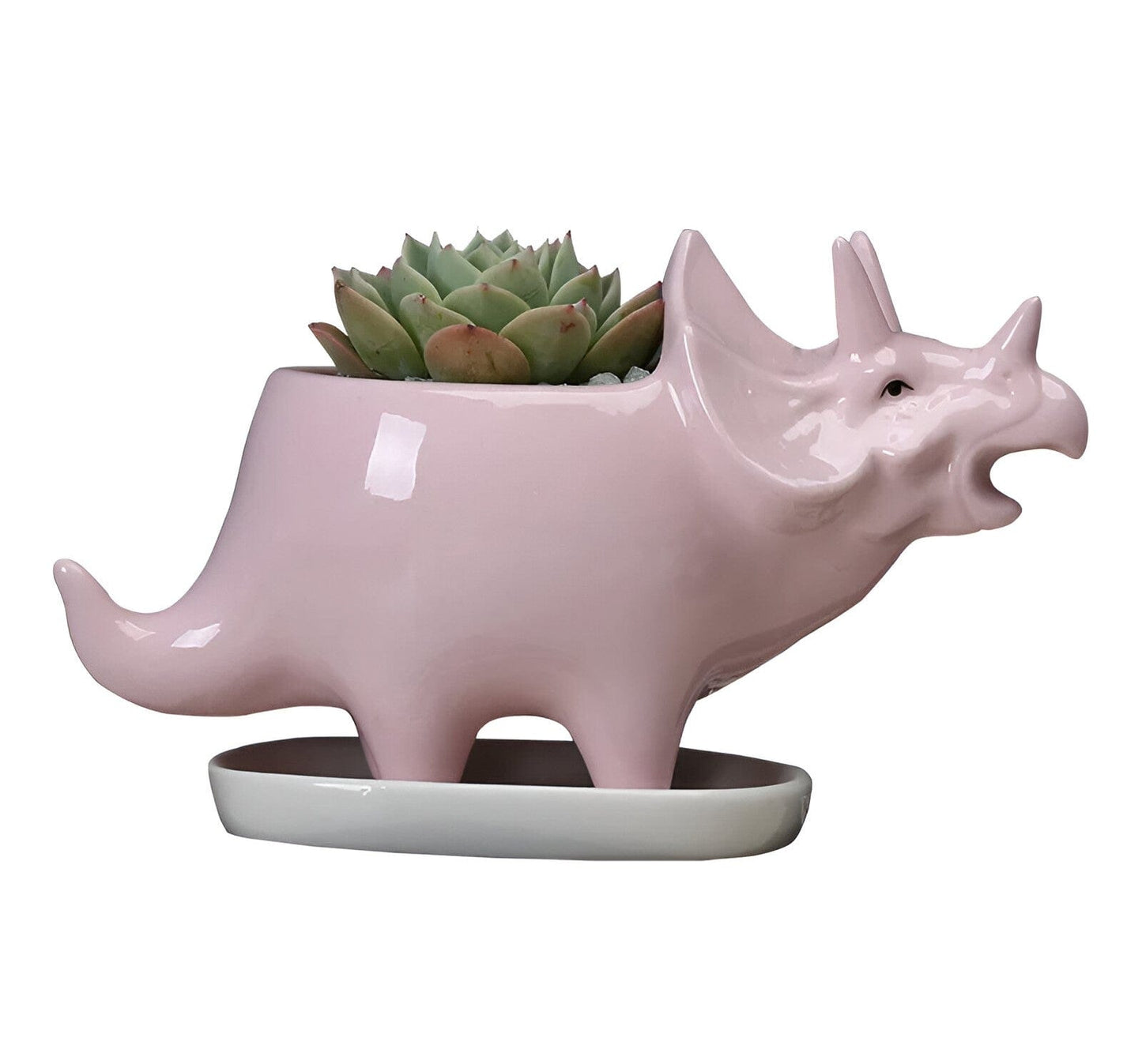 Cute Dinosaur Succulent Planter Pot with Drainage Tray