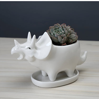 Cute Dinosaur Succulent Planter Pot with Drainage Tray