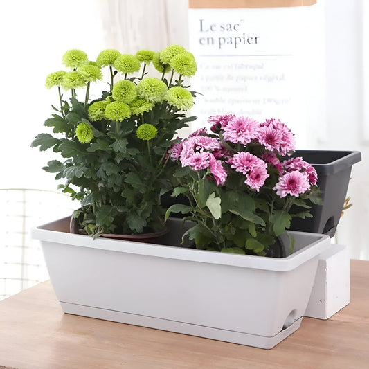 Windowsill Planter Pot