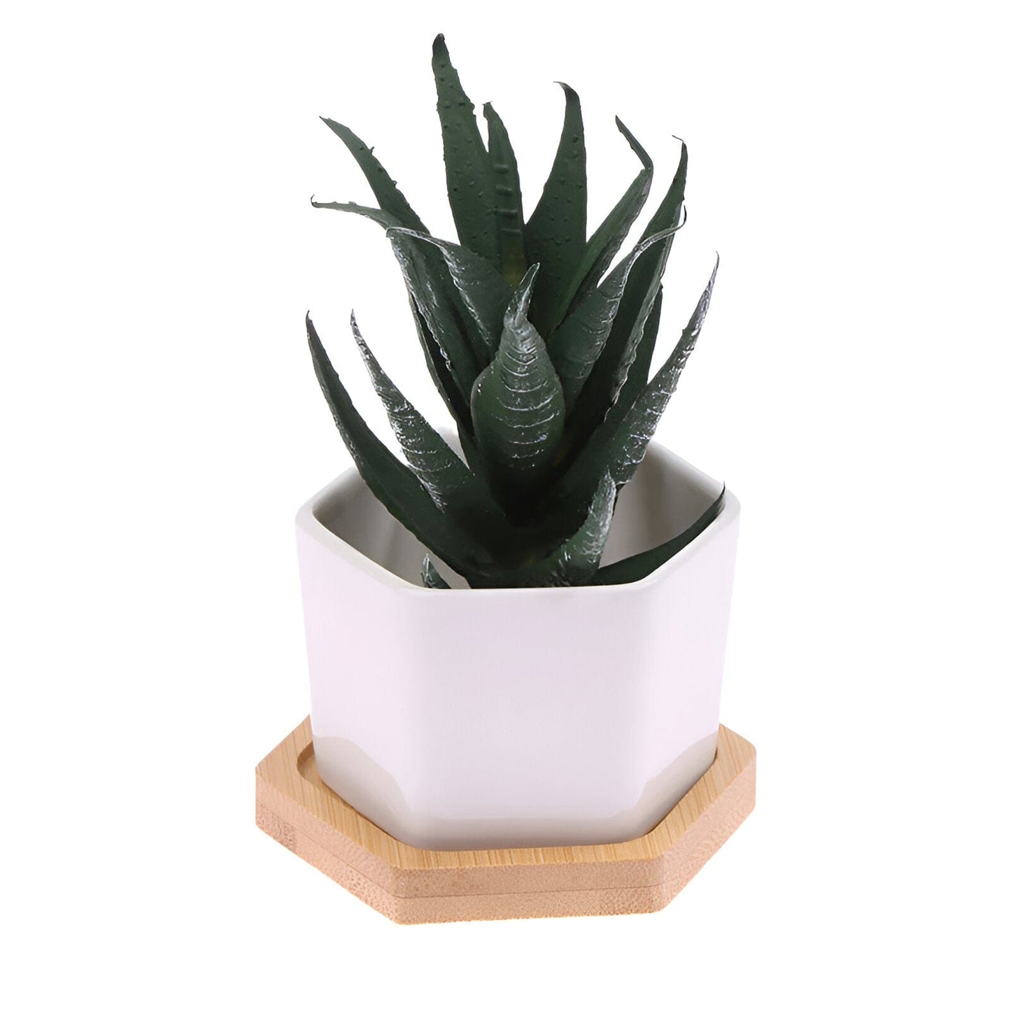 Hexagon Ceramic Succulent Planter with Bamboo Saucer