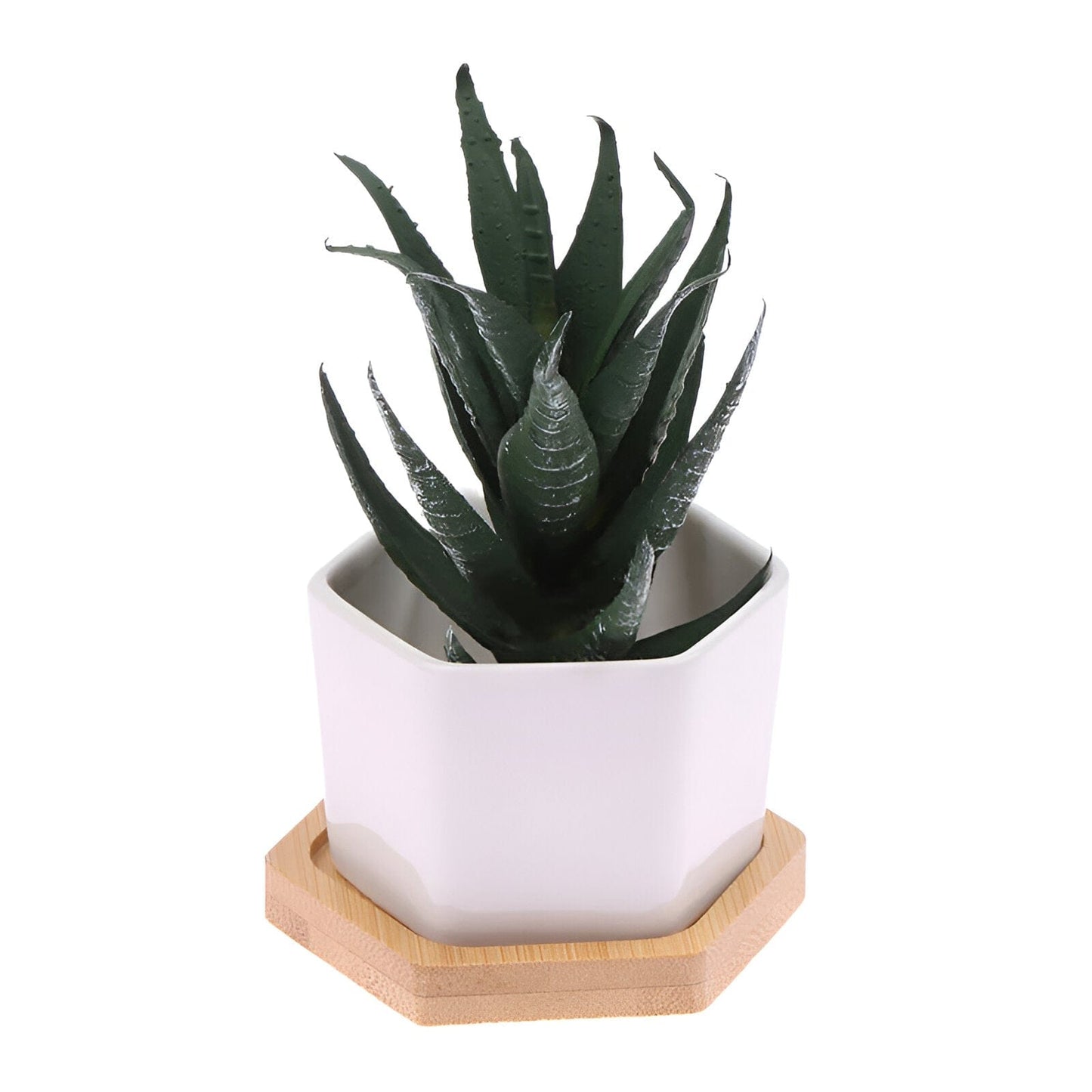 Hexagon Ceramic Succulent Planter with Bamboo Saucer