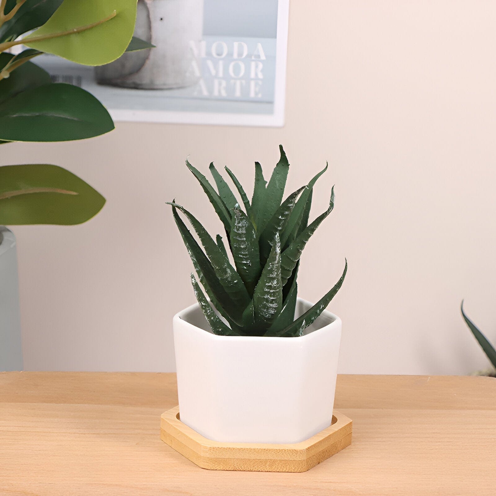 Hexagon Ceramic Succulent Planter with Bamboo Saucer