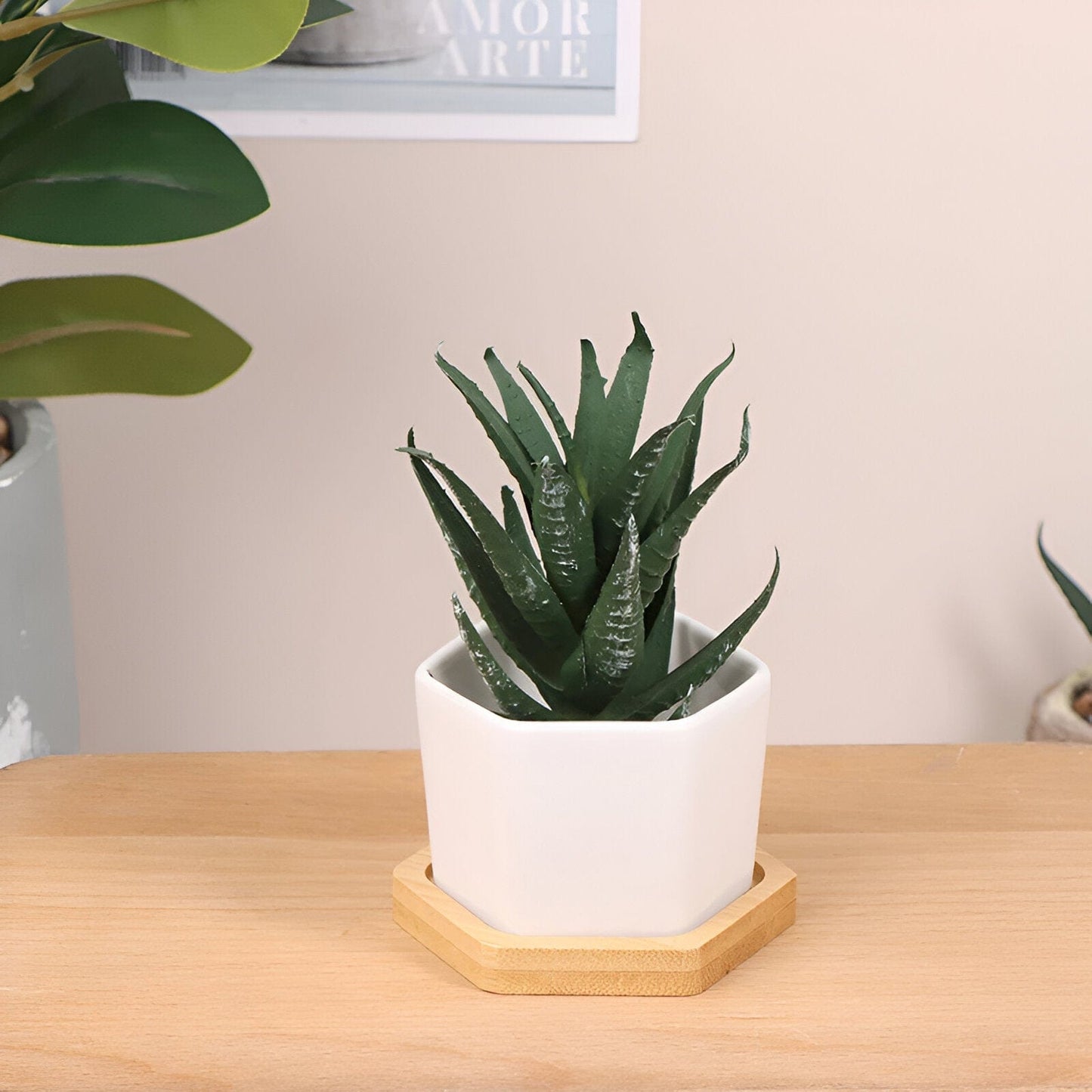 Hexagon Ceramic Succulent Planter with Bamboo Saucer