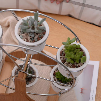 Wooden Ferris Wheel with Ceramic Succulent Planters