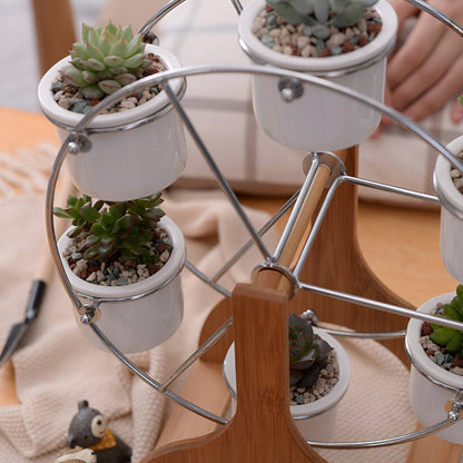 Wooden Ferris Wheel with Ceramic Succulent Planters.