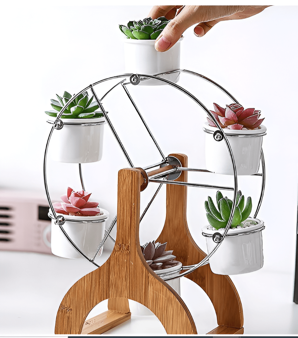 Wooden Ferris Wheel with Ceramic Succulent Planters