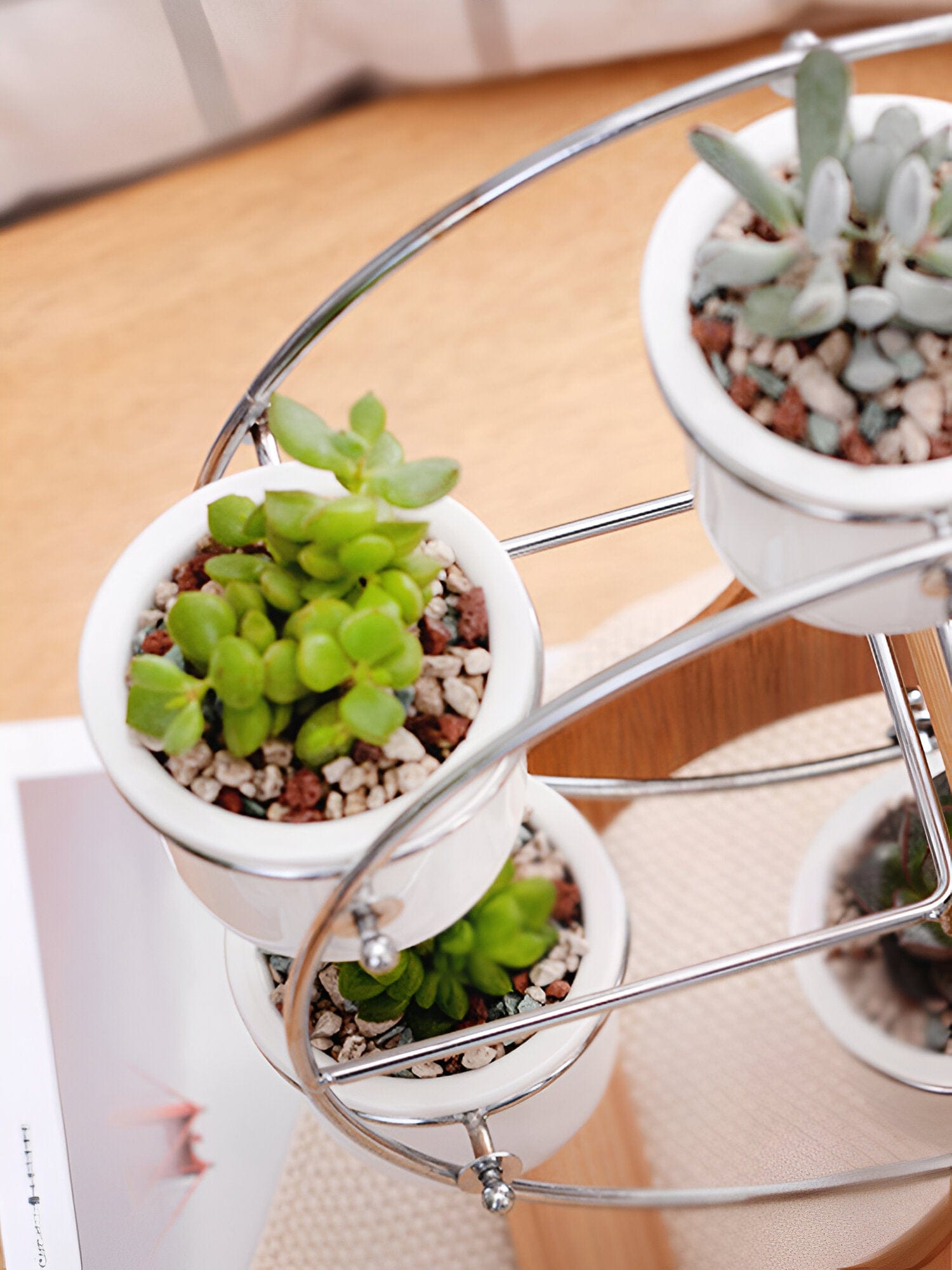 Wooden Ferris Wheel with Ceramic Succulent Planters