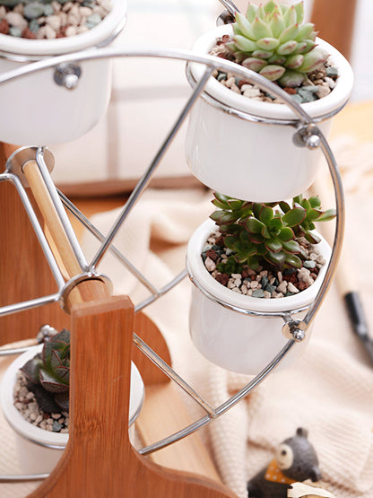 Wooden Ferris Wheel with Ceramic Succulent Planters