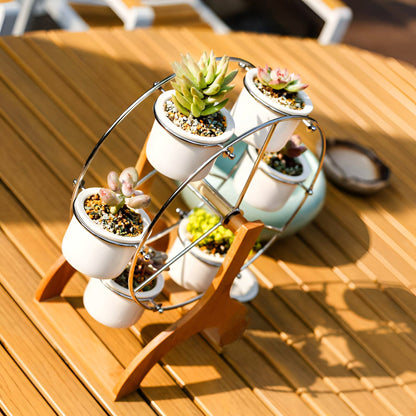 Wooden Ferris Wheel with Ceramic Succulent Planters