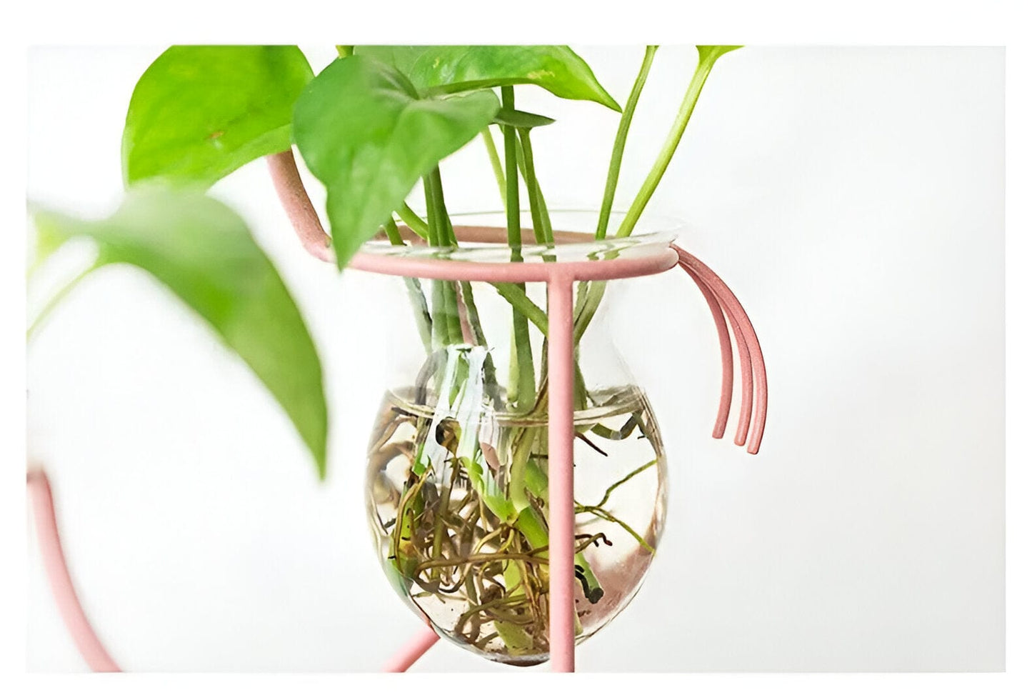 Tropical Flamingo Propagation Vase