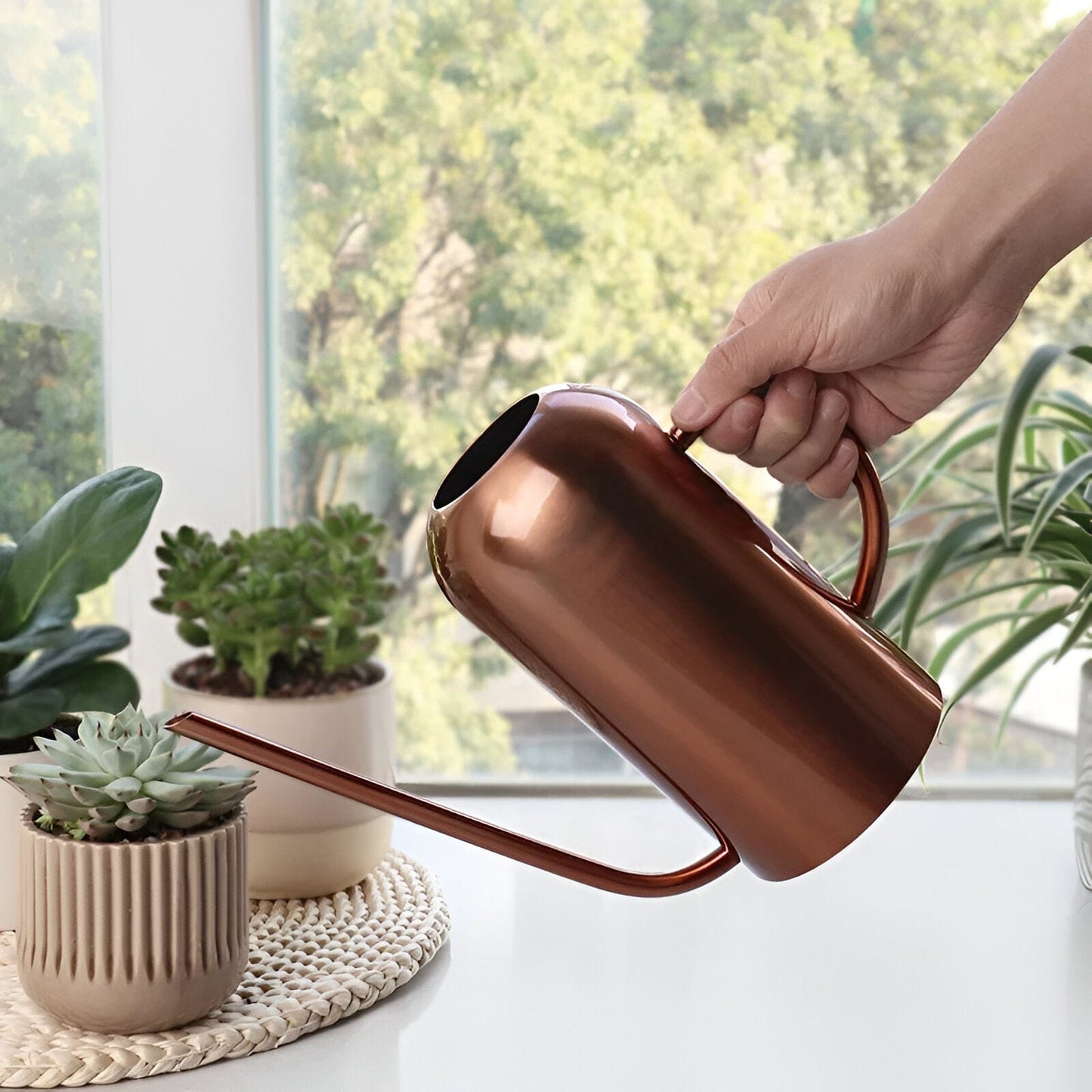 Bia Stainless steel Watering Can