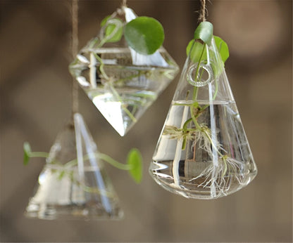 Glass Hanging Terrarium Vases